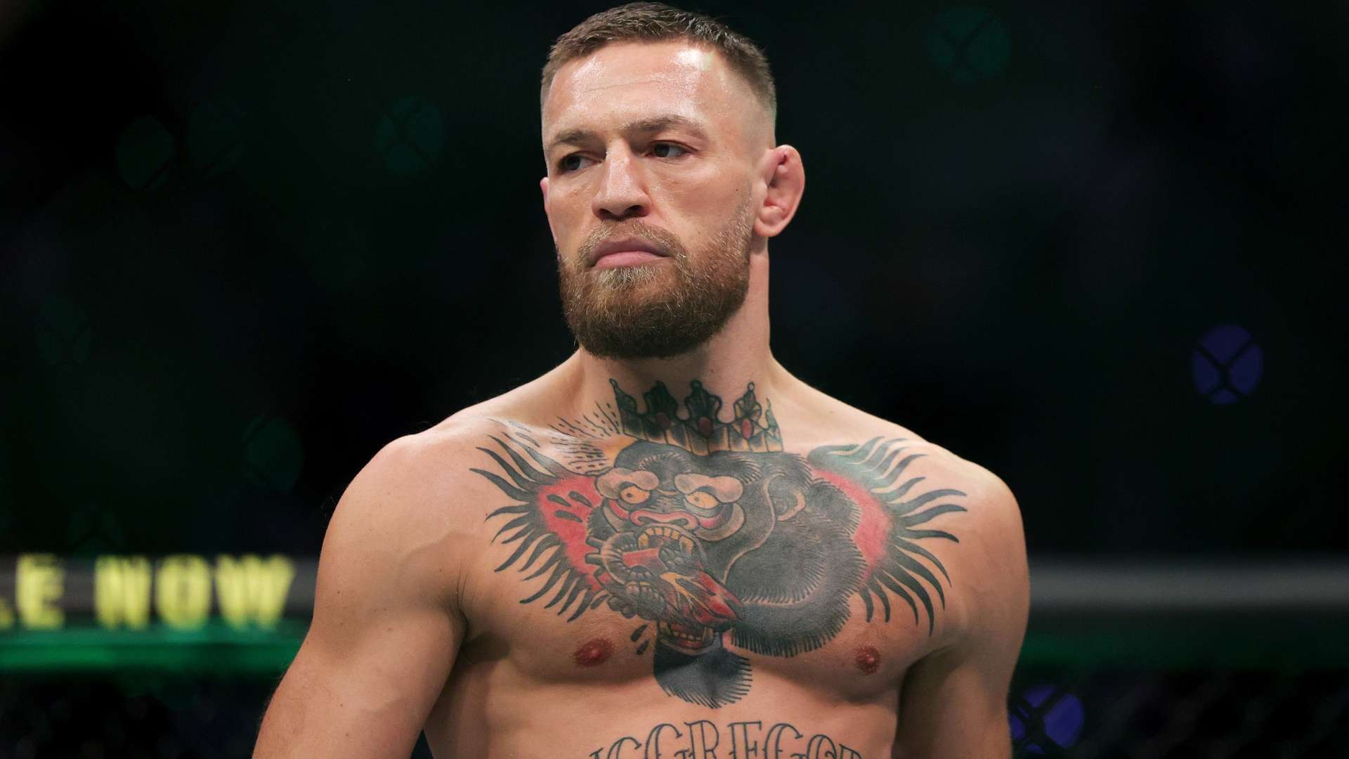 它还为经济 它还为经济