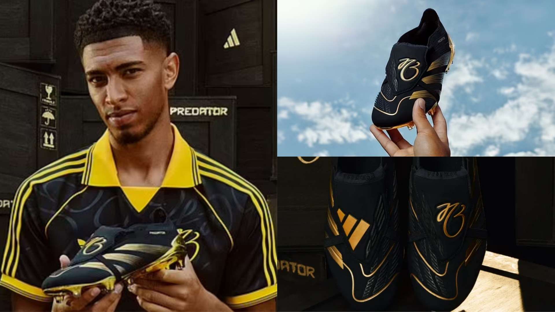 中國足協主 中國足協主