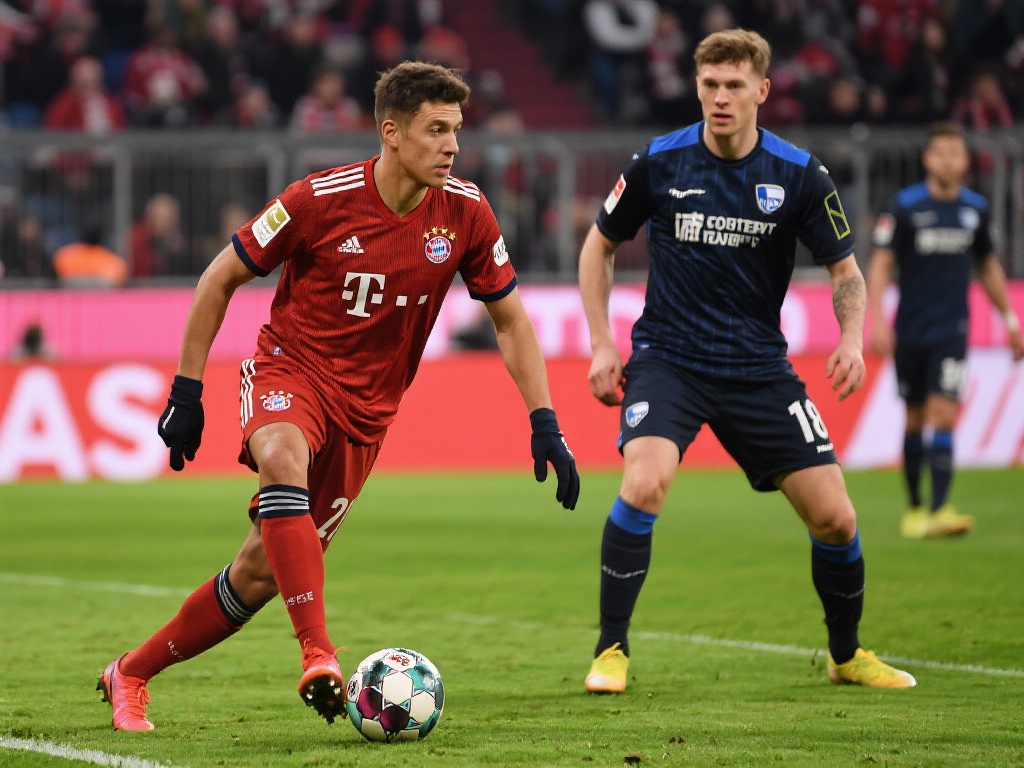 不仅是支持 不仅是支持