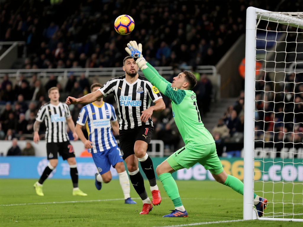 可能略显挑 可能略显挑